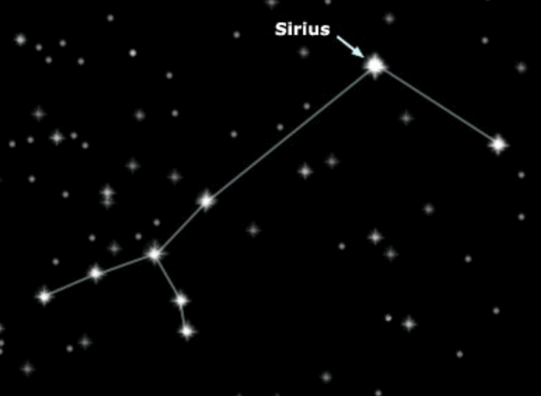 Сириус звезда какого созвездия. Созвездие большого пса Сириус. Созвездие большой пес схема. Сириус Созвездие большого пса схема. Сириус звезда в созвездии большого пса картинки.